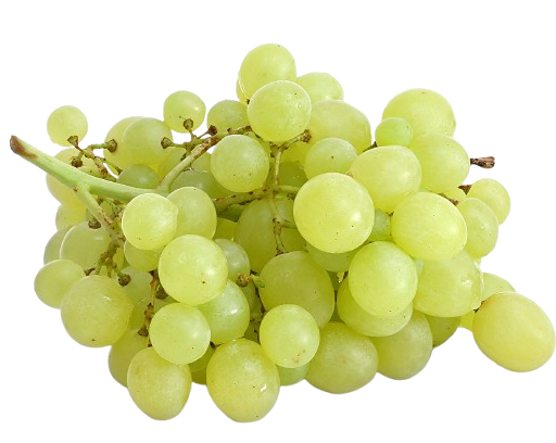 Grapes