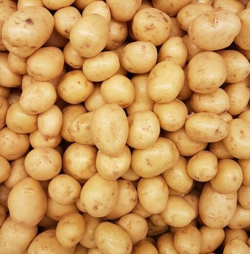 Potato