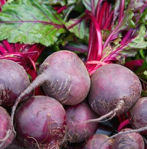 Beetroot